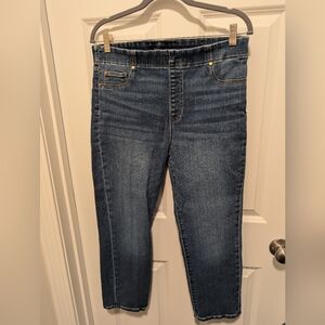 Liverpool Classic Blue Women's Jeans